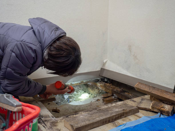 Best Air Quality Testing for Mold Spores  in Prattville, AL