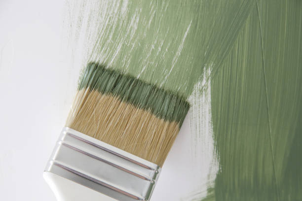  Prattville, AL Mold Removal Pros