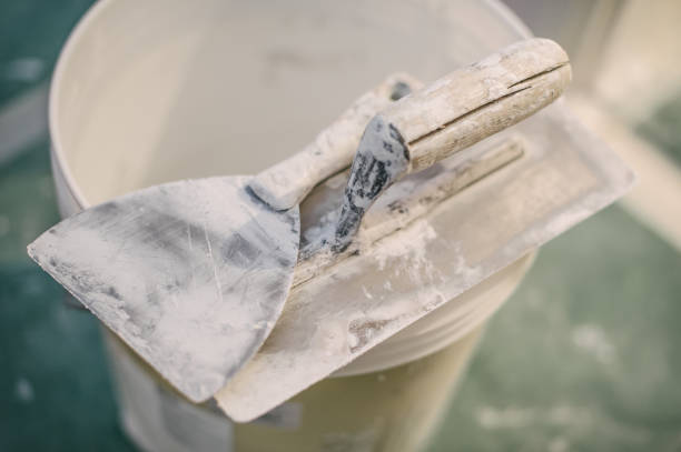 Best Basement Mold Removal  in Prattville, AL